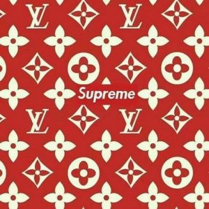 Meet your Posher, Lydia